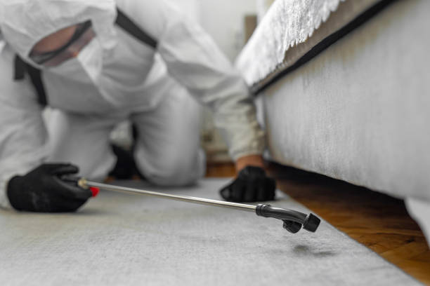 Professional Cockroach Control technician working in Woodcrest, CA